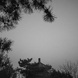 《007：曙光》发售日公布 Steam国区298元